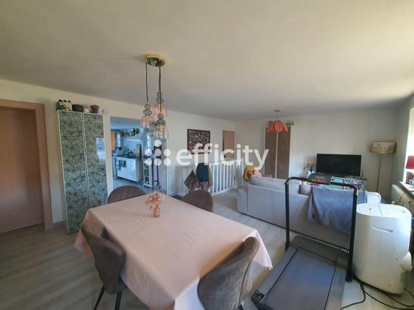 Appartement 3 pièces - 74 m² Exclusivité efficity
