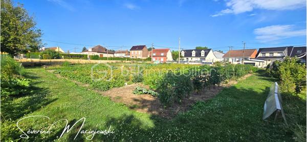 Terrain de 1 129 m²