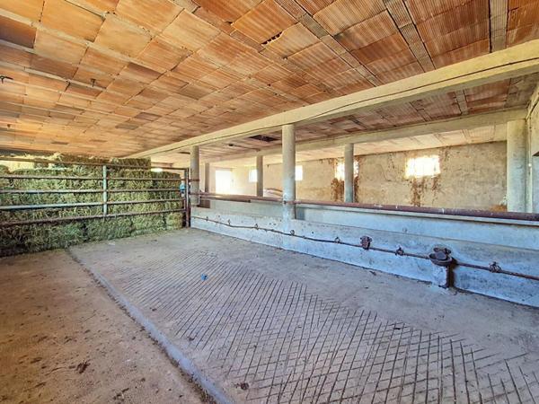 Maison Avord 5 pièce(s) 85 m2