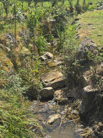 Maison de plain-pied de 100m², jardin et garages