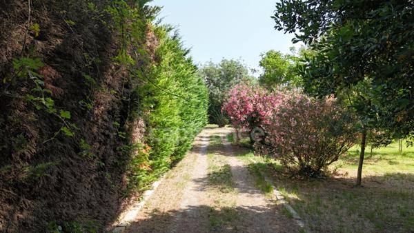 Maison individuelle 155m2. Jardin arboré de 2000m2