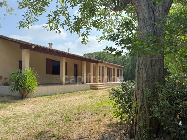 Maison individuelle 155m2. Jardin arboré de 2000m2