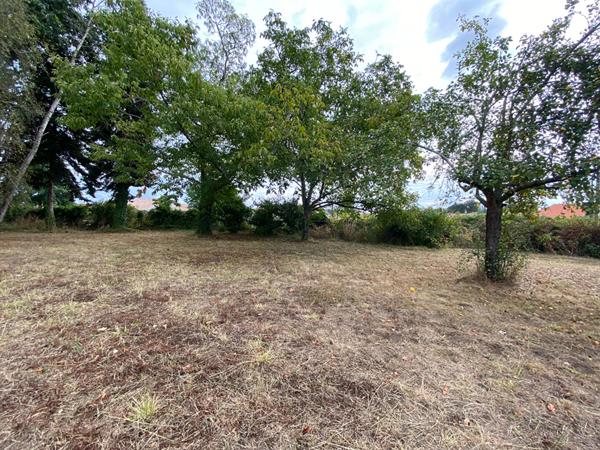 A Vendre Terrain Constructible à Hinx
