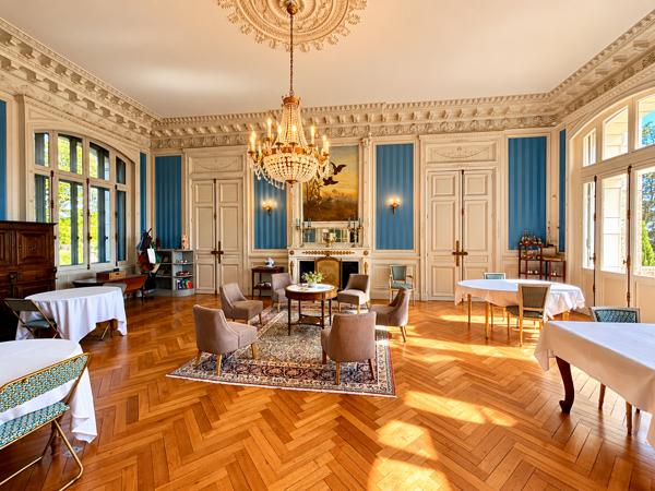 Vente Château Azay-le-Rideau 25 Pièces 1190 m²