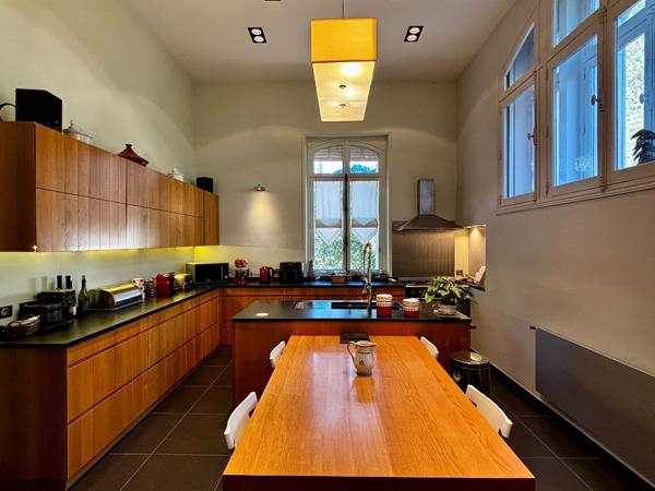 Vente Château Azay-le-Rideau 25 Pièces 1190 m²