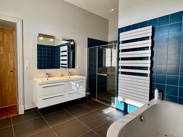 Vente Château Azay-le-Rideau 25 Pièces 1190 m²