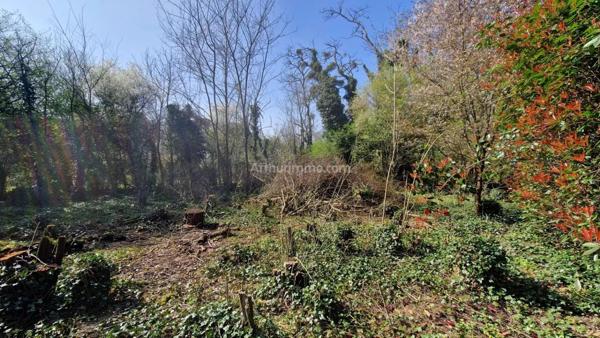 Vente Terrain 510 m2 à Thorigny-sur-Marne