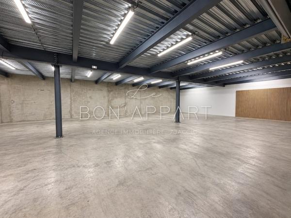 Local professionnel 235 m²