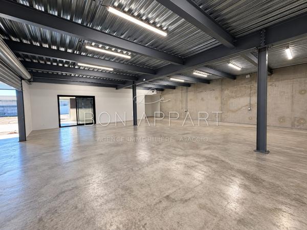 Local professionnel 235 m²