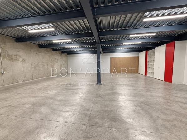 Local professionnel 235 m²