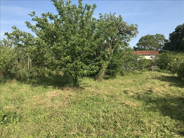 Terrain à vendre |  Verdille |  1322 m²