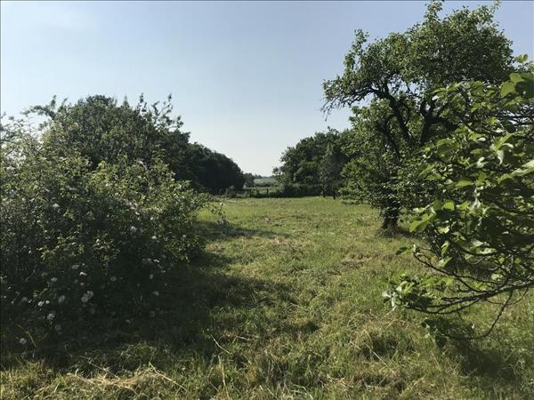 Terrain à vendre |  Verdille |  1322 m²