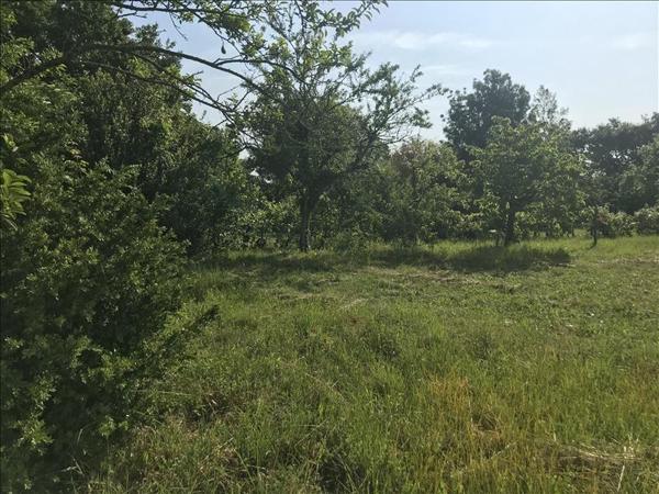 Terrain à vendre |  Verdille |  1322 m²