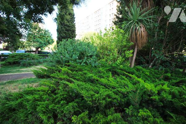 T3 de 58m2 (Carrez) avec sa terrasse (9e)