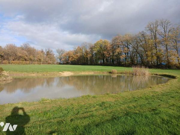 Pavillon familial tout confort sur sous-sol et 2 hectares de terrain