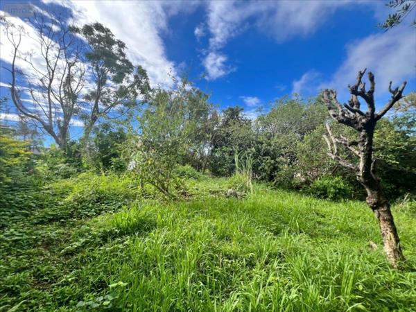 Maison à vendre à Le Tampon à la Réunion (97430), ref : 36766