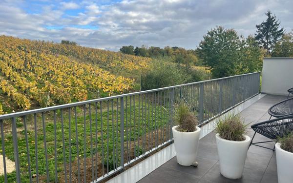 Maison à vendre    8 pièces •  Trigny