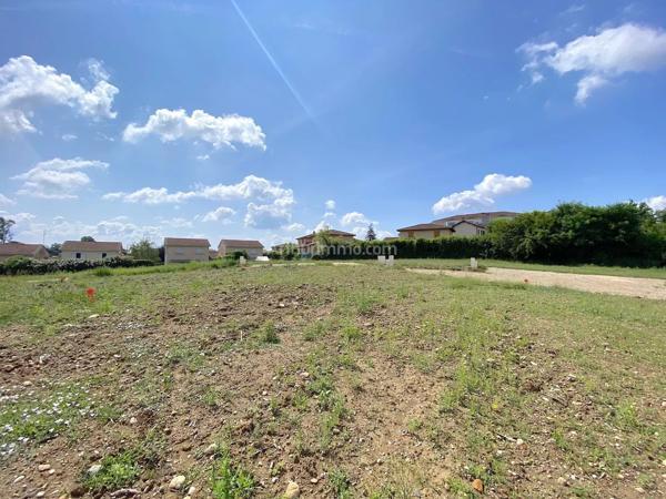 Vente                                                      Terrain
                        
                                         440 m2                     à Meximieux
