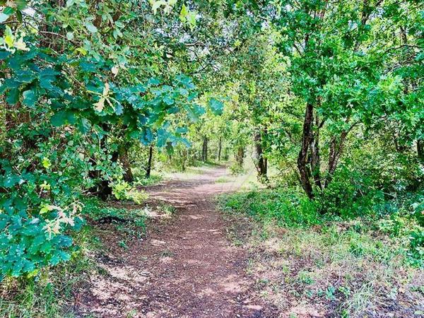 Maison  en vente - Charente-Maritime - 17