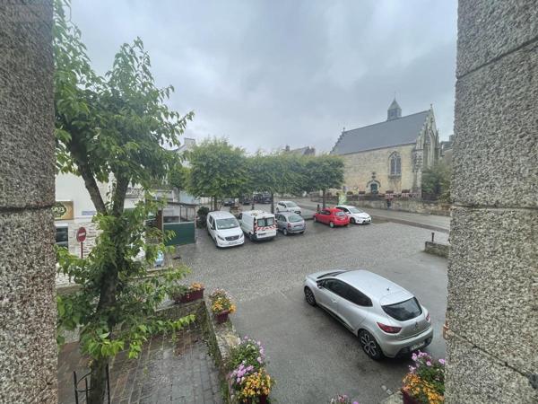 Fonds et/ou murs commerciaux à vendre à Locminé dans le Morbihan (56500), ref : 56076-1181