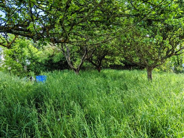 Terrain constructible 576m²