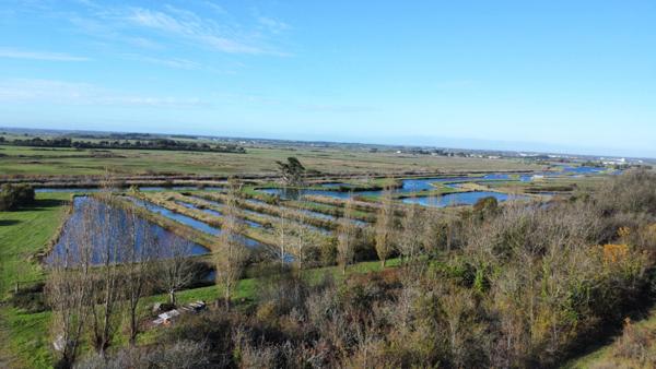 Terrain Jard Sur Mer 2790 m2