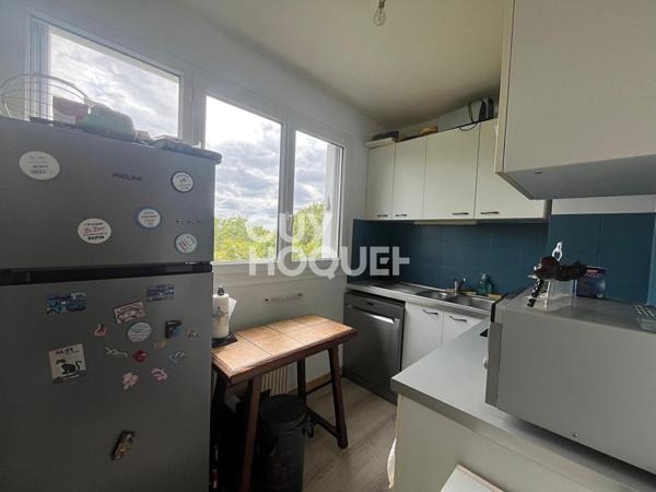 APPARTEMENT T2 - CAVE - PARKING - THEATRE ORLEANS (45000)