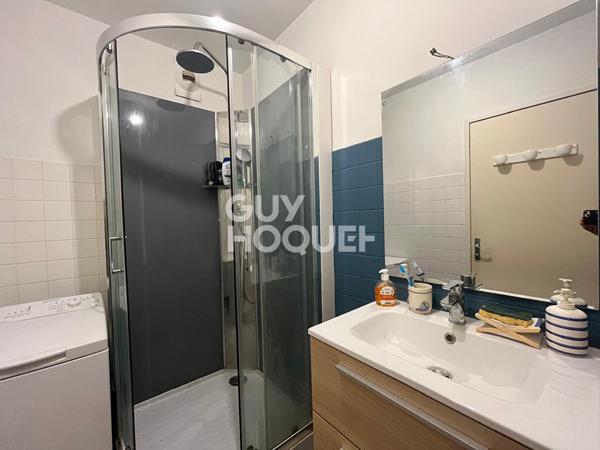 APPARTEMENT T2 - CAVE - PARKING - THEATRE ORLEANS (45000)