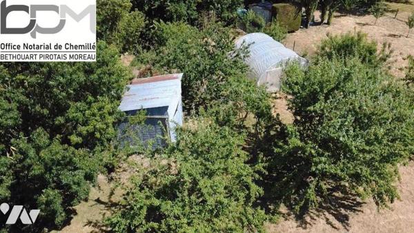 À VENDRE Propriété familiale de plain-pied à Chemillé, sur plus de 5 000 m² de terrain. Située ...