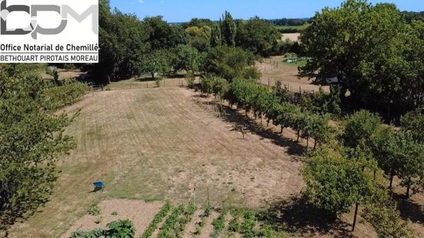 À VENDRE Propriété familiale de plain-pied à Chemillé, sur plus de 5 000 m² de terrain. Située ...