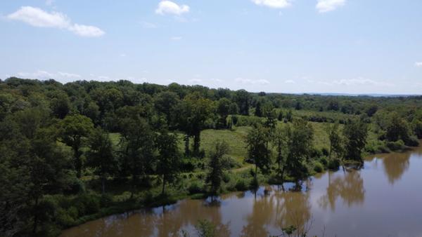 Dpt Jura (39), LONS LE SAUNIER, étang à vendre