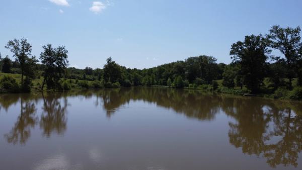 Dpt Jura (39), LONS LE SAUNIER, étang à vendre