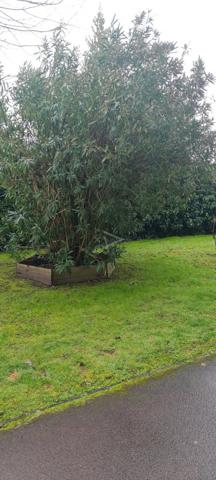 BEL APPARTEMENT LUMINEUX RENOVE