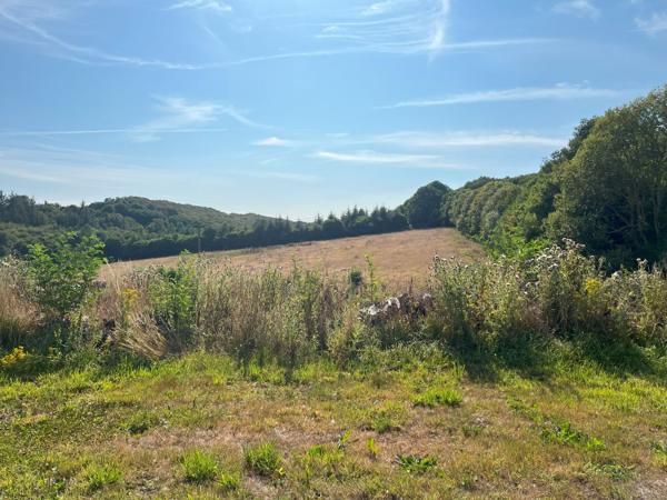 Longère Plounevez Quintin 5 pièce(s) 136 m2