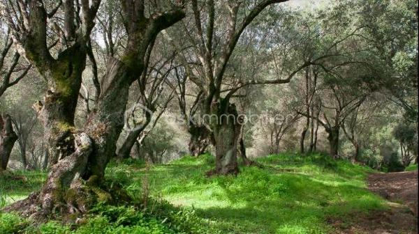 Appartement de 70 m²