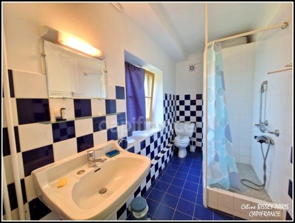 SAINT GEORGES SUR BAULCHE (89) Ensemble immobilier longère de 2 habitations communicantes, 5 chambres, 1 salle de réception, cuisine équipée, salon, 1 salle de bain, 2 salle d'eau