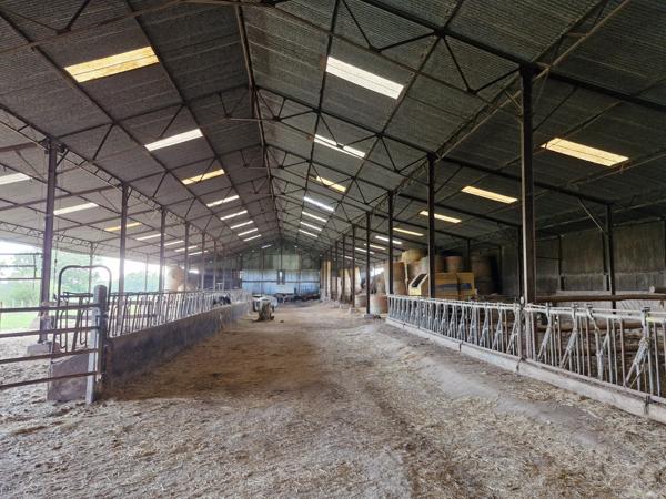 Maison à vendre à Montmorillon (86500) - Vienne