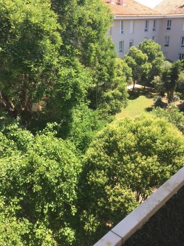 Perpignan (66000) PERPIGNAN SUD F3 TERRASSE