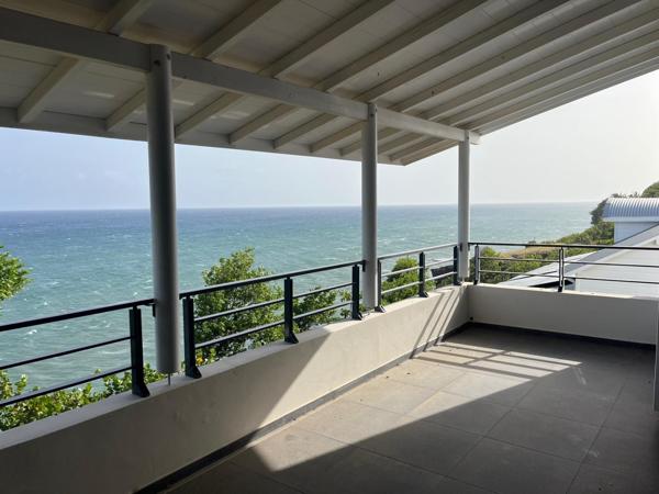 Rare : quand les Saintes deviennent votre horizon