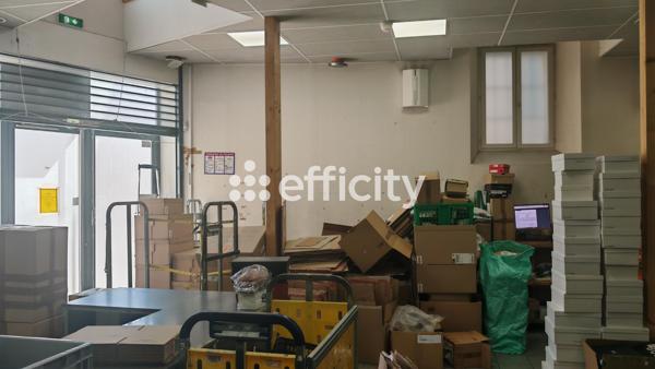 Local Commercial 10 pièces - 386 m²