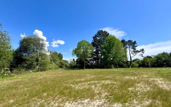 Terrain à vendre    Seignosse