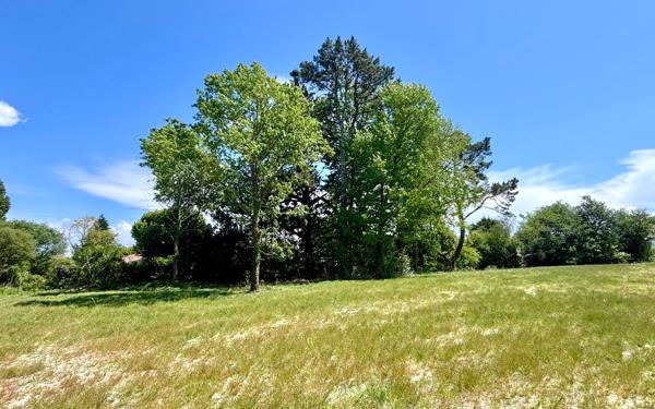 Terrain à vendre    Seignosse
