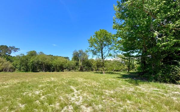 Terrain à vendre    Seignosse
