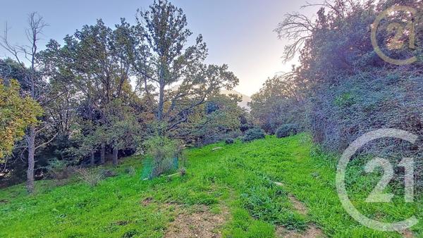 Terrain à vendre  1459 m2 OLMI CAPPELLA - 202