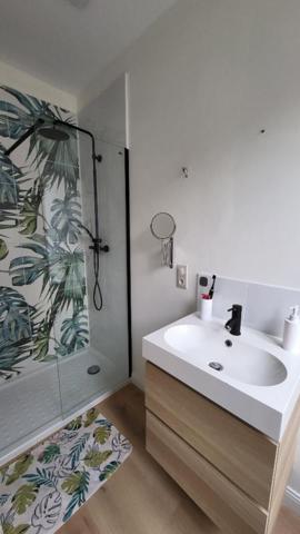 BELLE MAISON BOURGEOISE DE CARACTERE CENTRE VILLE