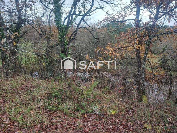 Maison rénovée au coeur de la nature, terrain 1Ha