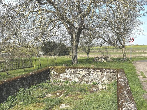 GRANDE MAISON A RENOVER
