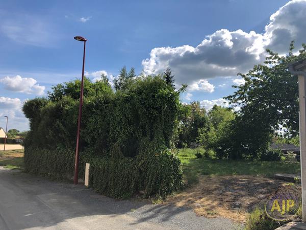 Vente terrain Montguillon : 39 000 € - AJP Immobilier Segré