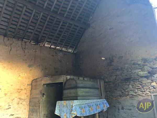 Vente terrain Montguillon : 39 000 € - AJP Immobilier Segré