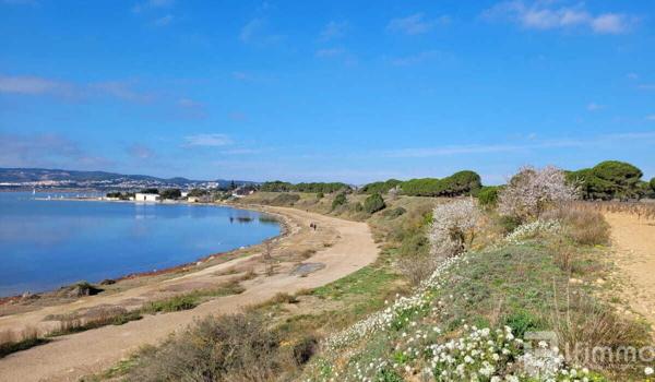 Terrain Constructible à Vendre – Vue sur les Étangs